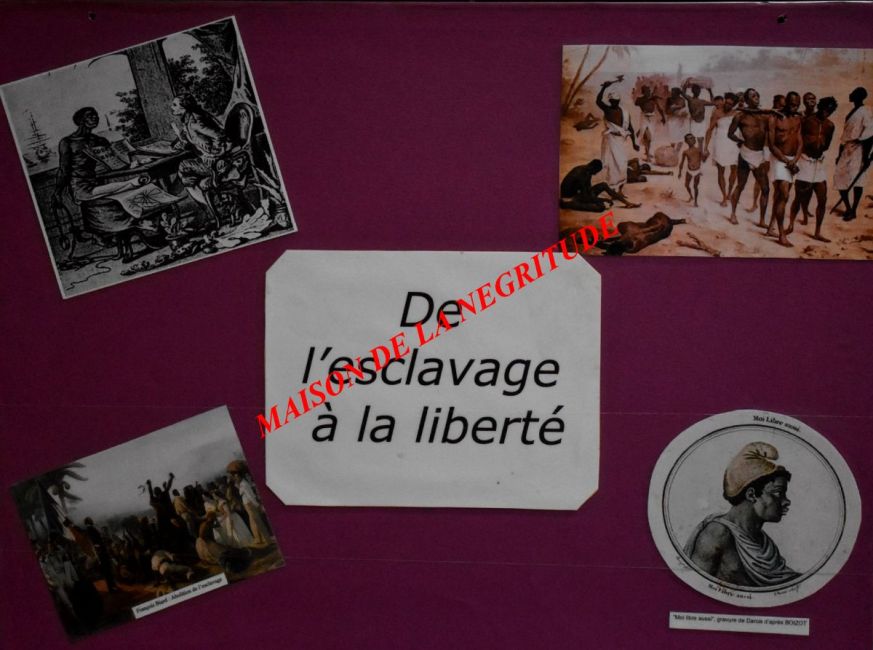 MNDHdel'esclavage à la liberté (1)